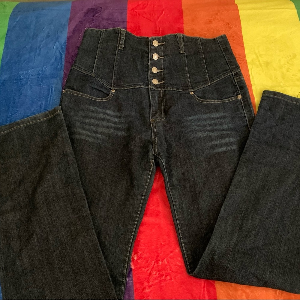 Wet Seal High Waist Jeans Plus